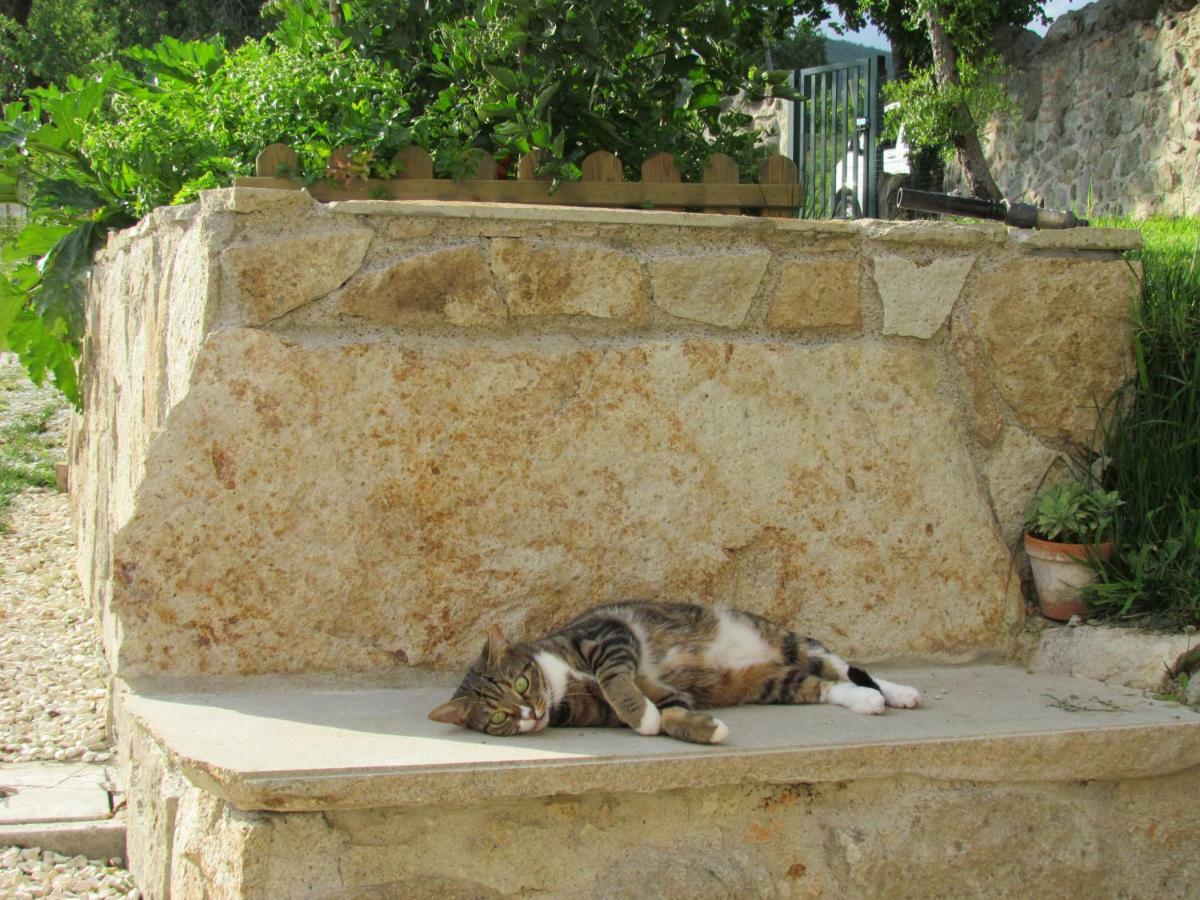 I Grilli B&B Baone Buitenkant foto