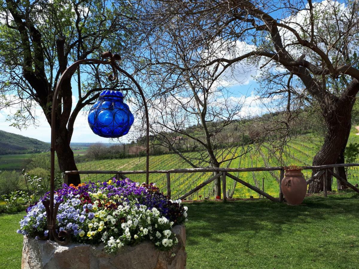 I Grilli B&B Baone Buitenkant foto