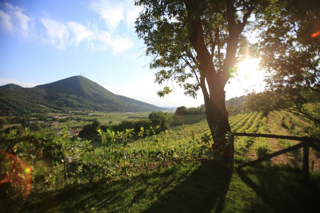 I Grilli B&B Baone Buitenkant foto